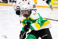 Feb-9-2026-vs-Sarnia-12