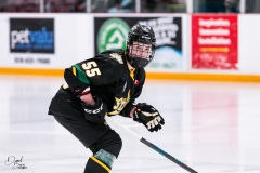 Jan-17-2025-vs-Sarnia-24