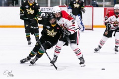 Jan-17-2025-vs-Sarnia-37