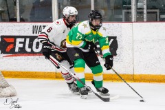 Jan-30-2026-vs-Sarnia-35
