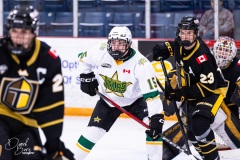 Oct-3-2025-vs-Brantford-23