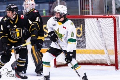 Oct-3-2025-vs-Brantford-36