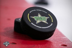 puck
